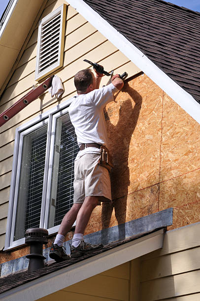 Best Dumpster Rental Services  in Rochester, IN